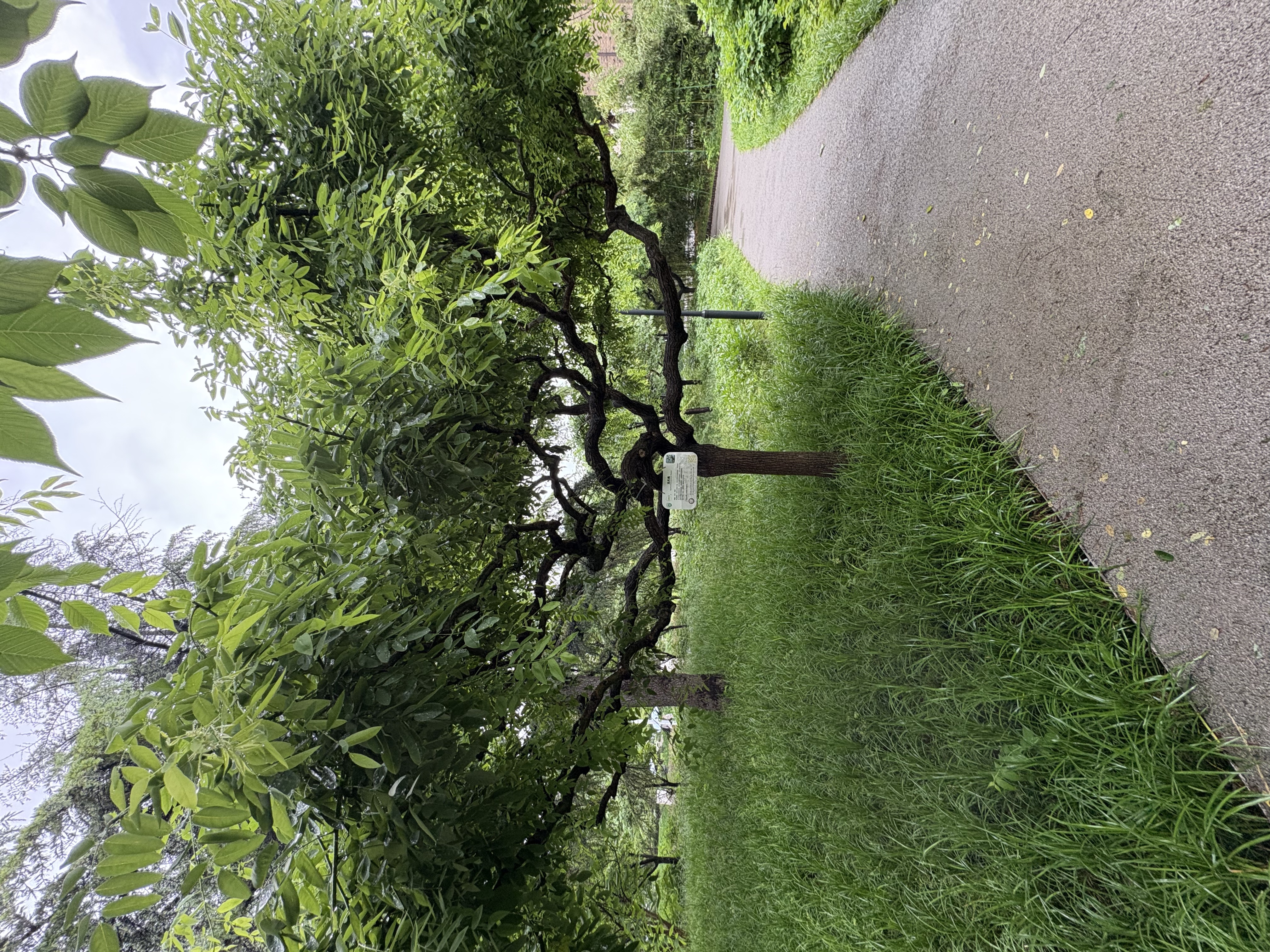 示例